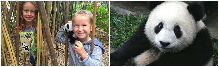 familjeresa-pandor-kina