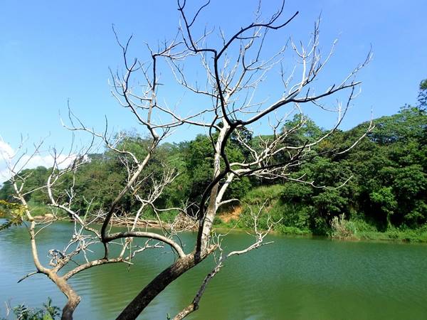 Yala nationalpark