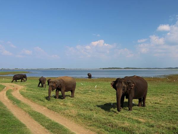 Yala nationalpark