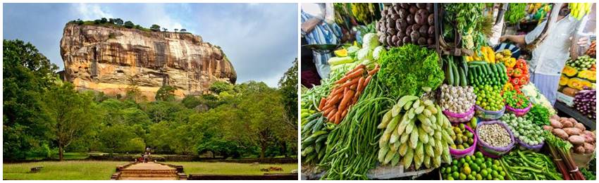 kulinarisk-resa-srilanka