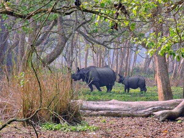 Chitwan nationalpark