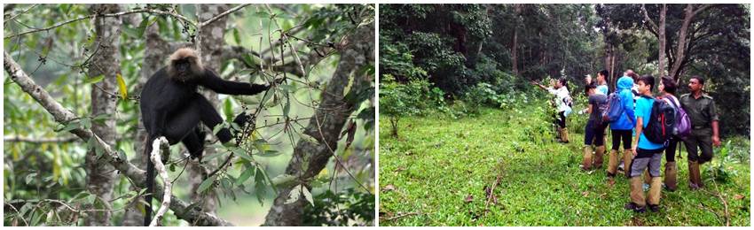 gruppresa-indien-periyar-nationalpark