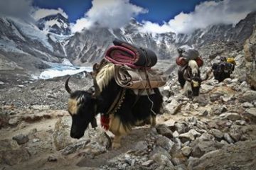 aventyrsresor-singelresor-mount-everest-trekking-nepal