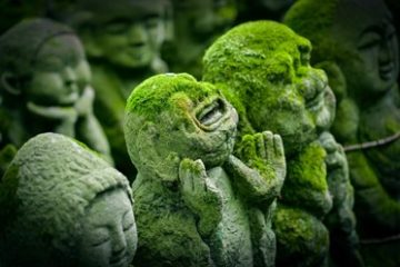 reskompisar-japan-gruppresa