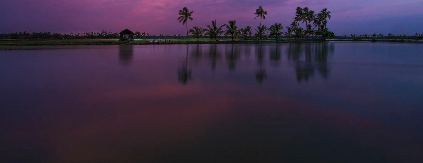 Södra Indien: Aktiv rundresa från Kerala till Goa