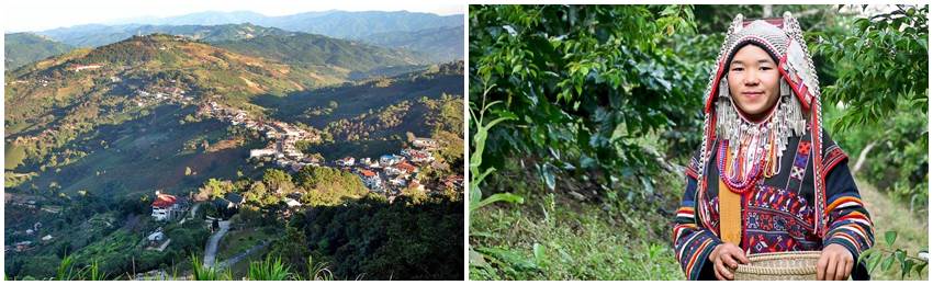 gruppresa-thailand-mae-salong