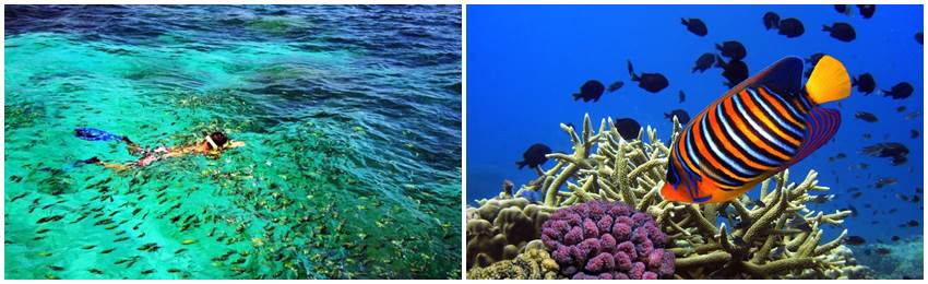 gruppresa-thailand-snorkling