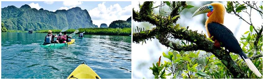 rundresor-thailand-krabi