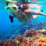 Snorkling i Bali Barat Nationalpark