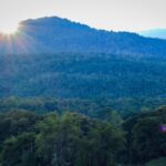Chiang Mai